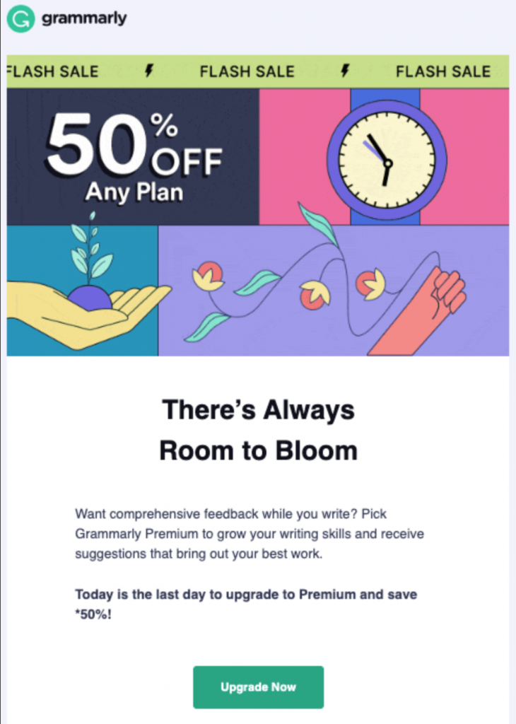 Grammarly flash discount email example
